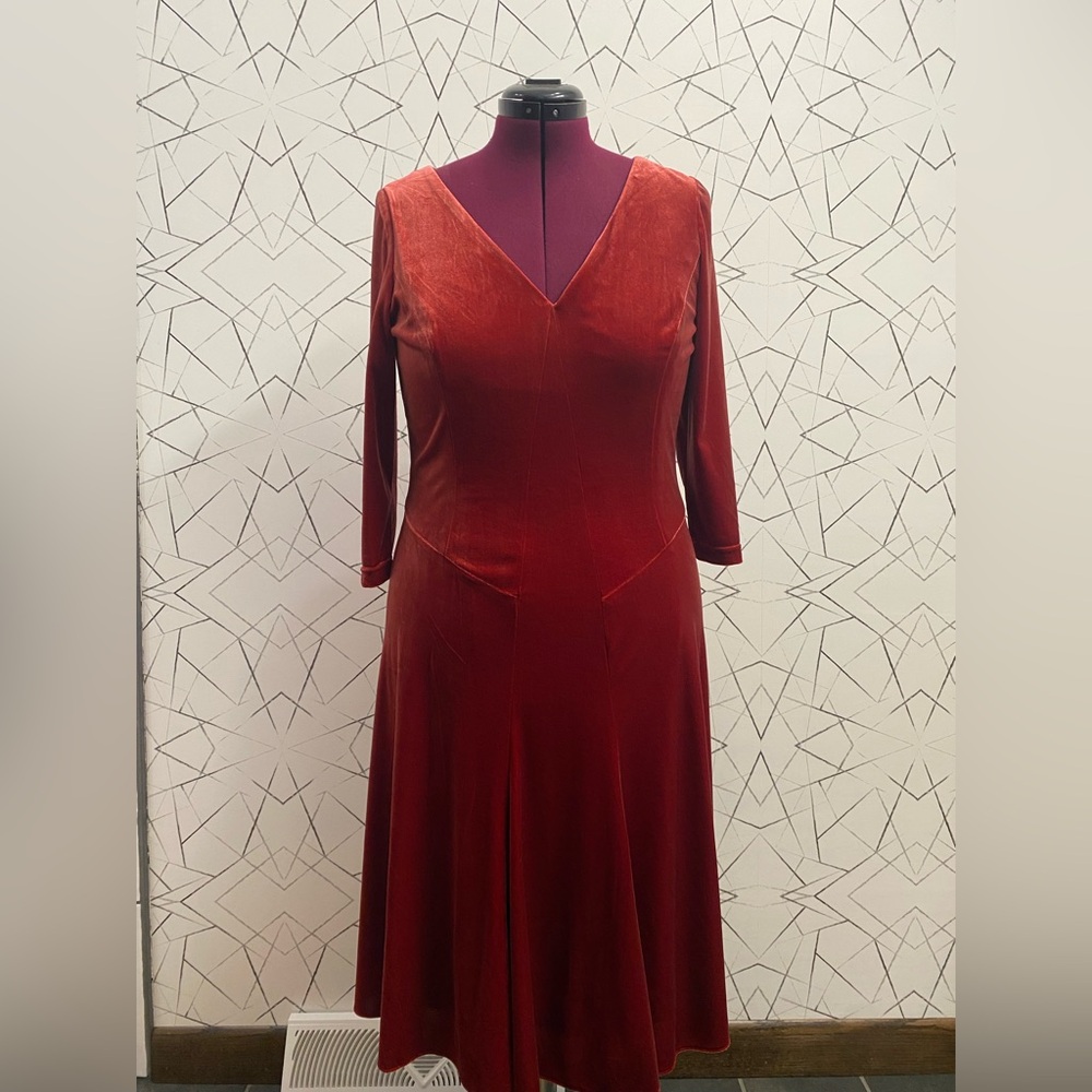 Lovely Velvet Dress